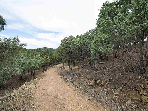 4th image of 3257 Paseo Del Monte Lot 6A