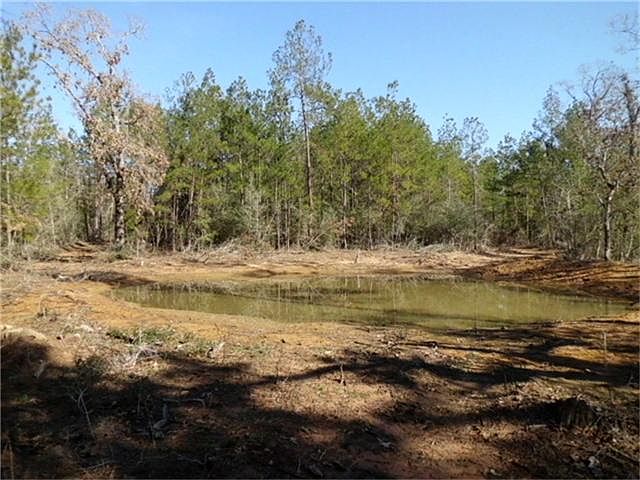 2nd image of 2487 Northline Rd
