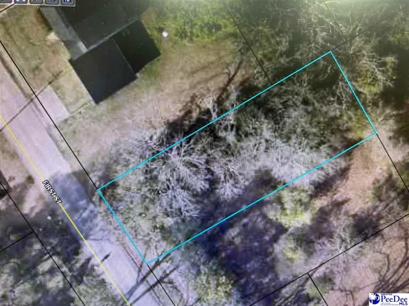 305 1st St, Hartsville, SC 29550