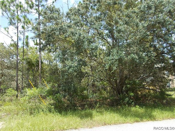 2nd image of 3029 W Viking Ln