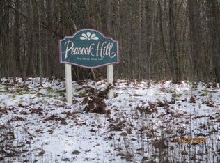 72 Dodd Rd LOT 7 & 8, Windsor, NY 13865