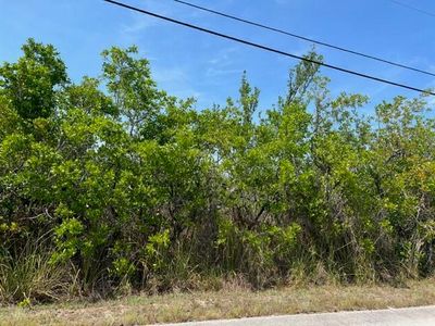 Dolphin Rd, Summerland Key, FL, 33042
