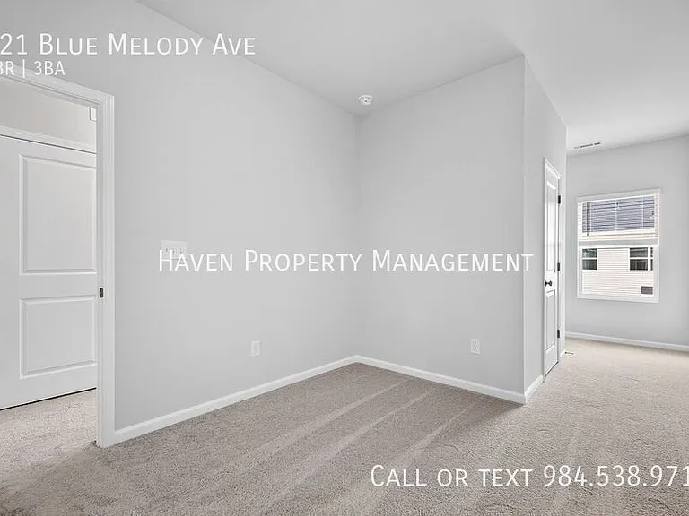 121 Blue Melody Ave — Photo 20
