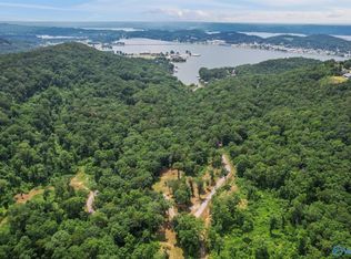 Wyeth Dr, Guntersville, AL 35976