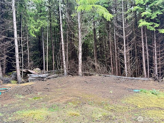 4th image of 97 Dempsey Creek Lane