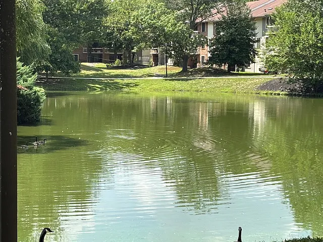 Beautiful view of Pond from rear of property