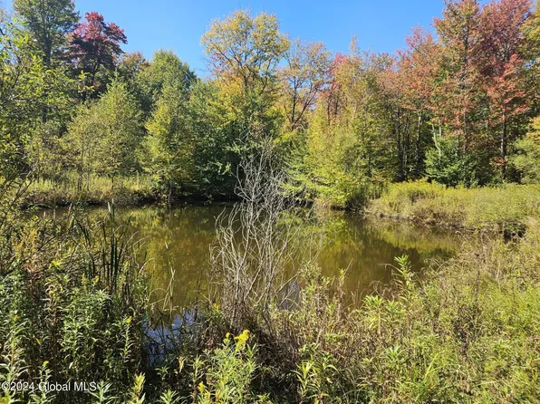 2881 County Highway 39, Worcester, NY 12197