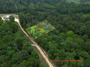 Hickory Dr, Harleton, TX 75651