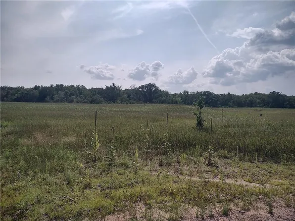 58 acres Mahoney Road, Bruce, WI 54819