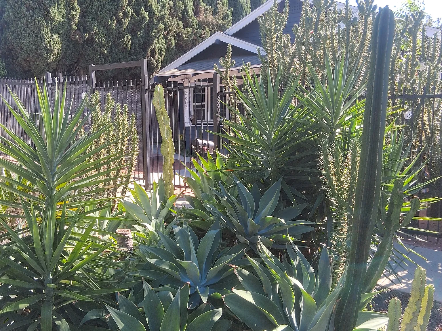 1 bed, 600 sqft, $2,295 — Photo 2