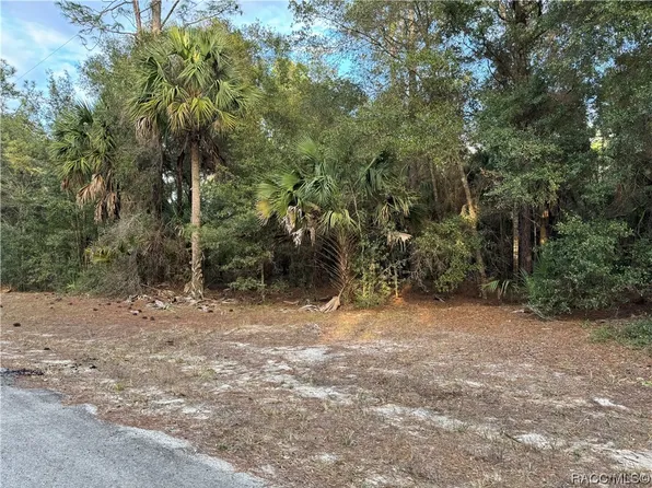 9121 N Peachbud Point, Crystal River, FL 34428