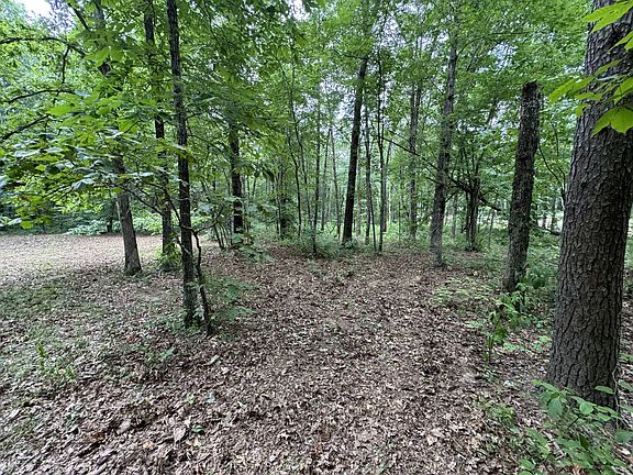 3rd image of 1244 Laurel Lake Dr
