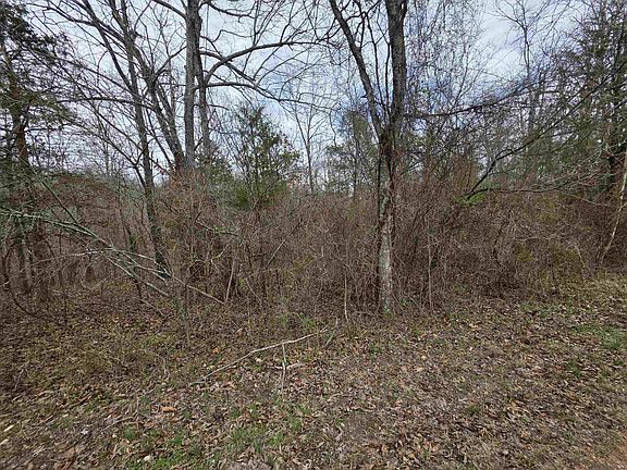 3rd image of L14-B3 S Summit Ridge Dr