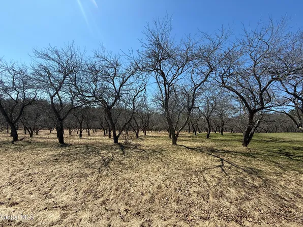 L172 Greens Corner Road, Galway, NY 12074