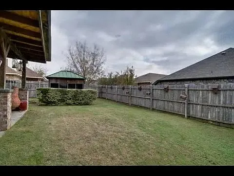 Back yard