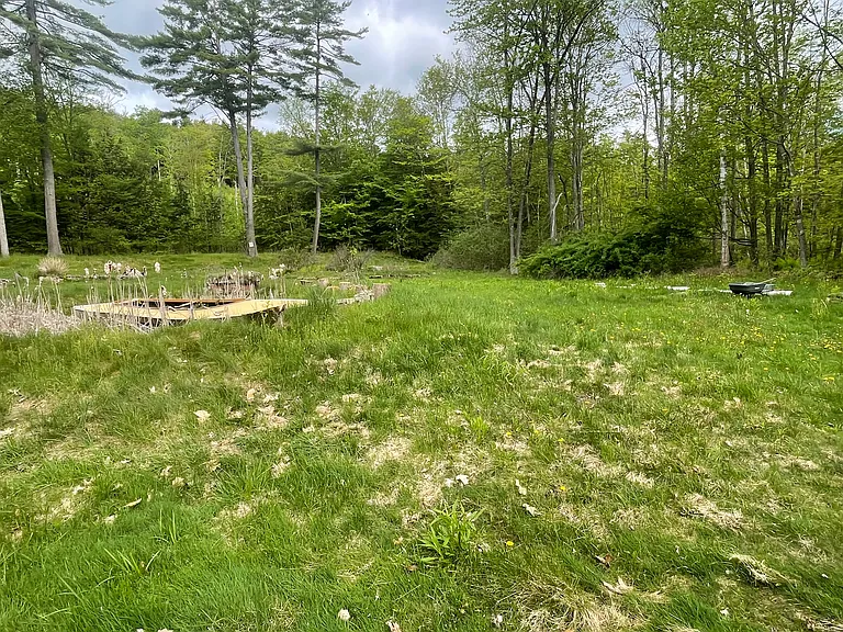 339 Craigue Hill Rd — Photo 9