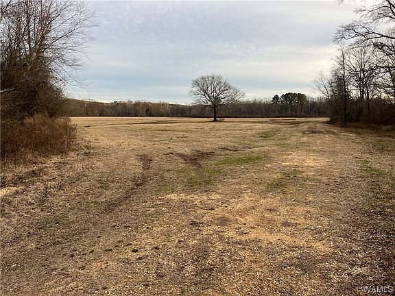 4th image of 0 County Road 35