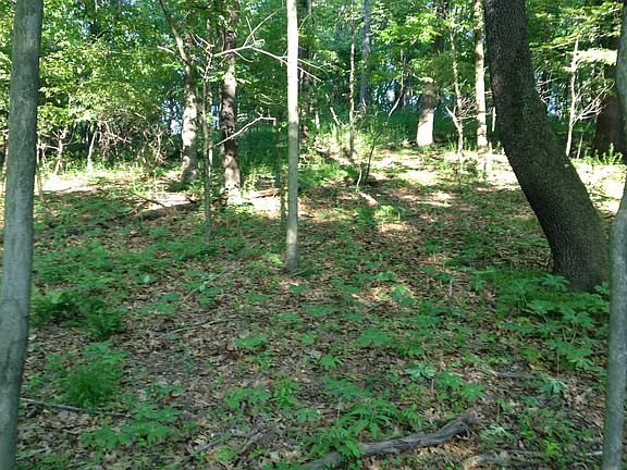4th image of Lot # 1 Reindeer Ln