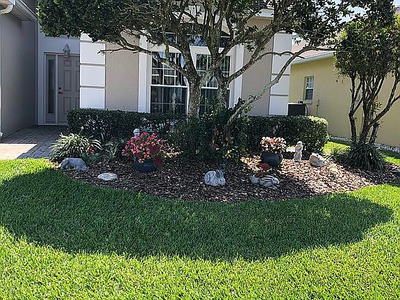 Front- tree, shrubs, flowers
