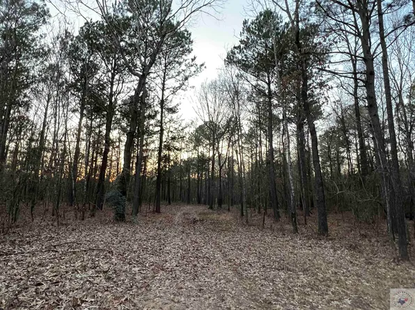 County Road 4120, Simms, TX 75574