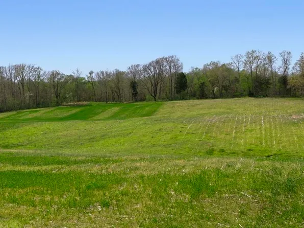 LOT 4 Oakland Flatrock Rd, Oakland, KY 42159