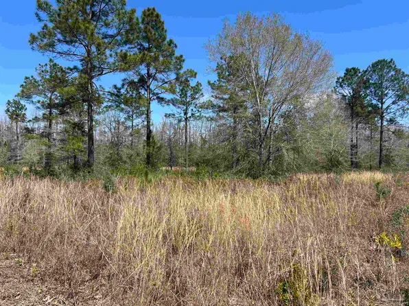 6828 Tranquility Trl, Milton, FL 32571