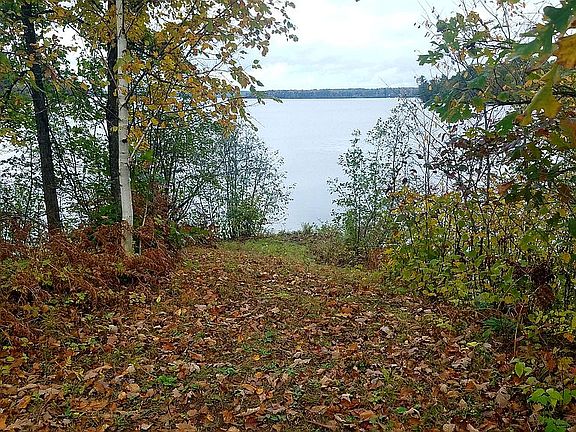 path leading to dock 