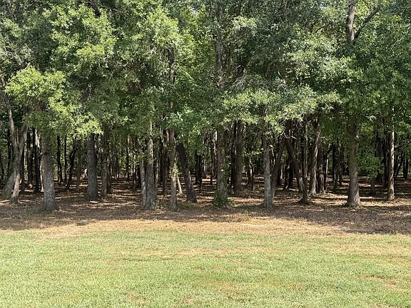 2nd image of 2 Newt McKnight Rd Lot 2