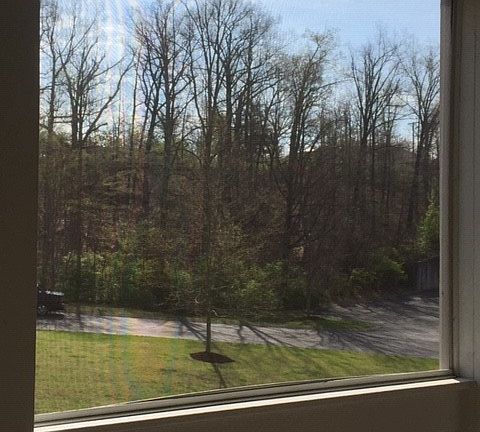 3rd image of 6820 Highway 70 S APT 406