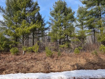Herb Mitchell Rd, Irma, WI, 54442