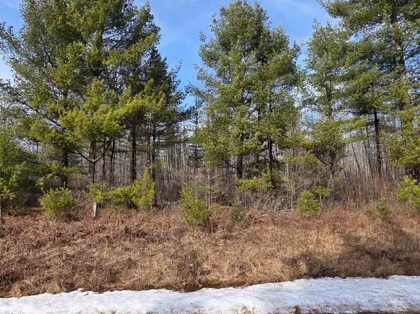 Herb Mitchell Rd, Irma, WI 54442