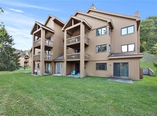 C302 Snowpine Vlg, Ellicottville, NY 14731
