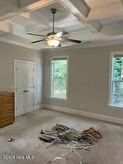 3702 Cinnamon Fern Dr — Photo 13
