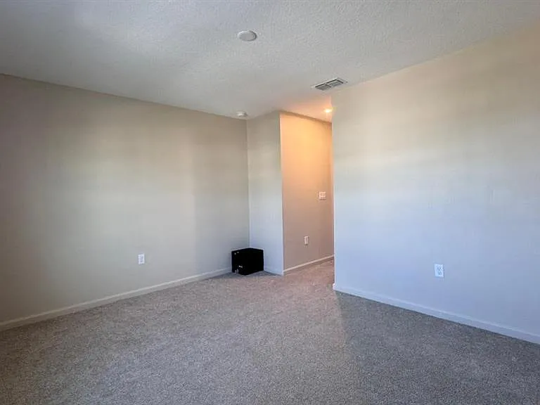 1102 Seaside Mist Trl — Photo 17