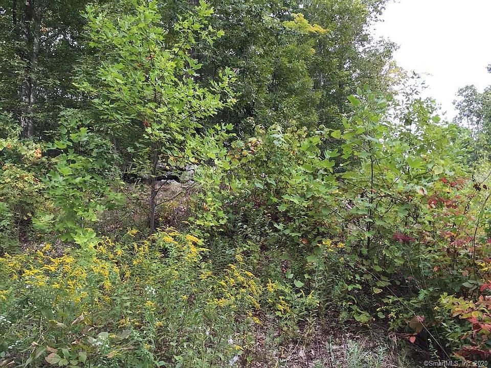 2nd image of 101 Buntz Rd