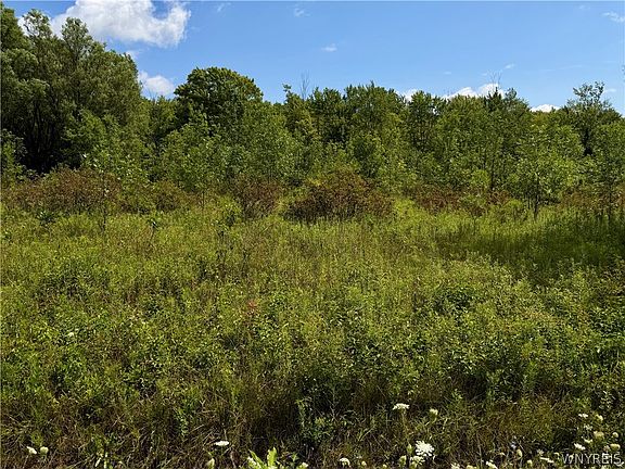 2nd image of 9259 Carpenter Rd Lot 1