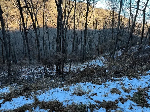 0 Puncheon Ln #170, Mars Hill, NC 28754