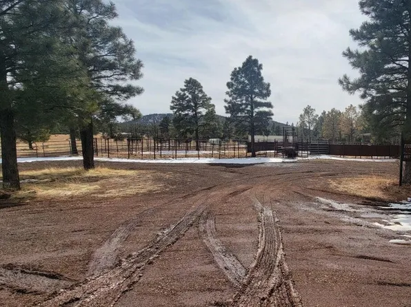 9591 Porter Mountain Rd, Lakeside, AZ 85929