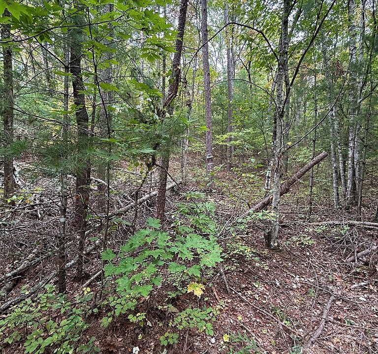 2nd image of 0 Goldfinch Ln