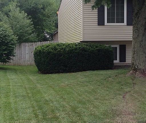 2nd image of 2086 Belltree Dr