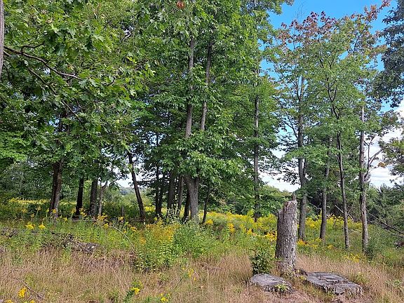 4th image of 0 Chicora Rd