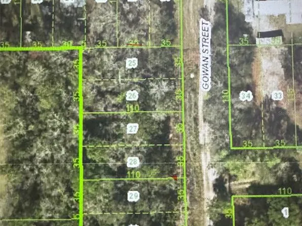 Gowan St Lot 25, New Pt Richey, FL 34654