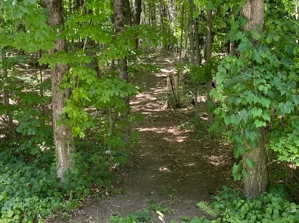 0 Mountain Rd, Gill, MA 01354