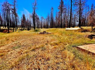 4461 Sciaroni Rd, Grizzly Flats, CA 95636