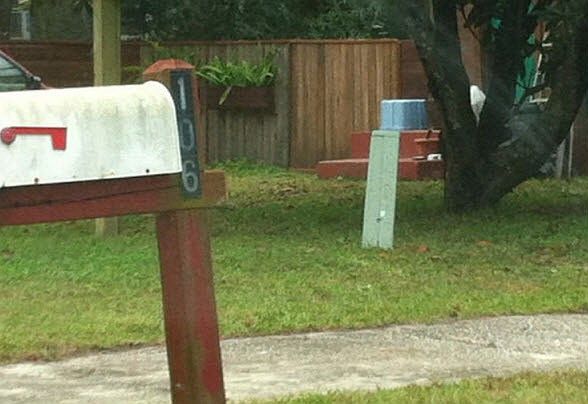 2nd image of 106 Avocado Ave