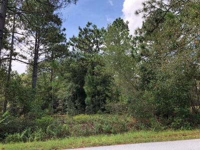00 SW Audubon Ave, Dunnellon, FL, 34431