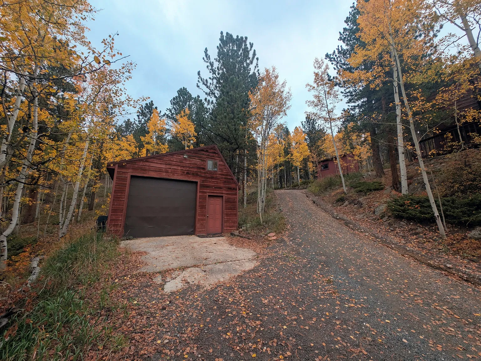 187 Patricia Road - 1 — Photo 3