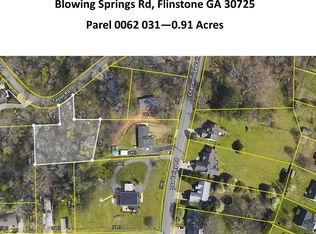 0 Blowing Spgs, Flintstone, GA 30725