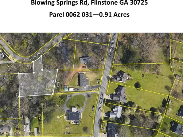 0 Blowing Spgs, Flintstone, GA 30725