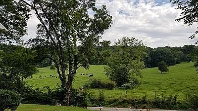 View from front yard